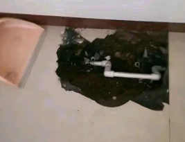 霍林郭勒卫生间测漏水多少钱